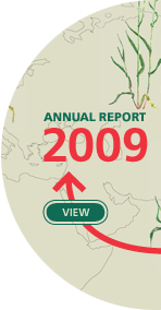 Annual report 2009